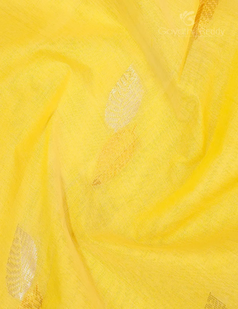 PURE VENKATAGIRI COTTON-VC751